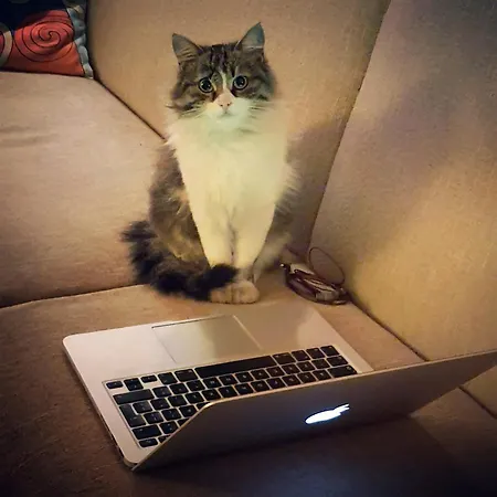 Karadut Cave Hotel 3*