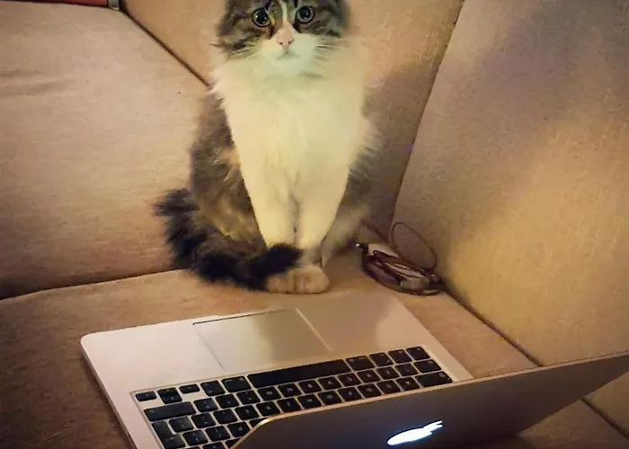 Karadut Cave Hotel 3*